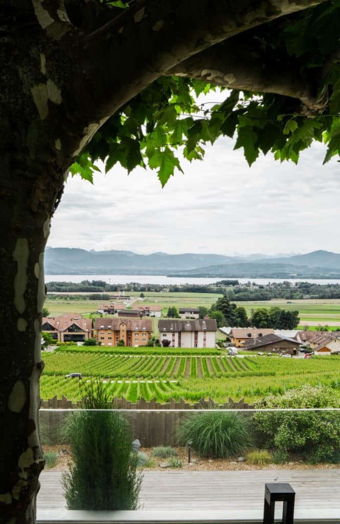 Terrasse extérieure